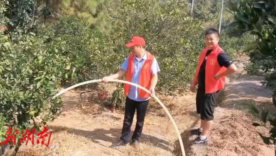 新宁:万名干部下基层结对抗旱 全力以赴写好抗旱“答卷”_邵阳头条网